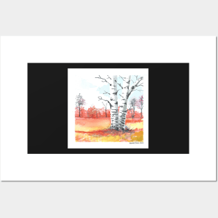 Autumn Birch Trees Posters and Art